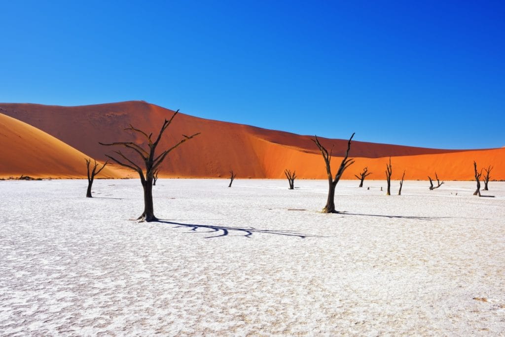 3 Salar im Namib-Nationalpark Unesco