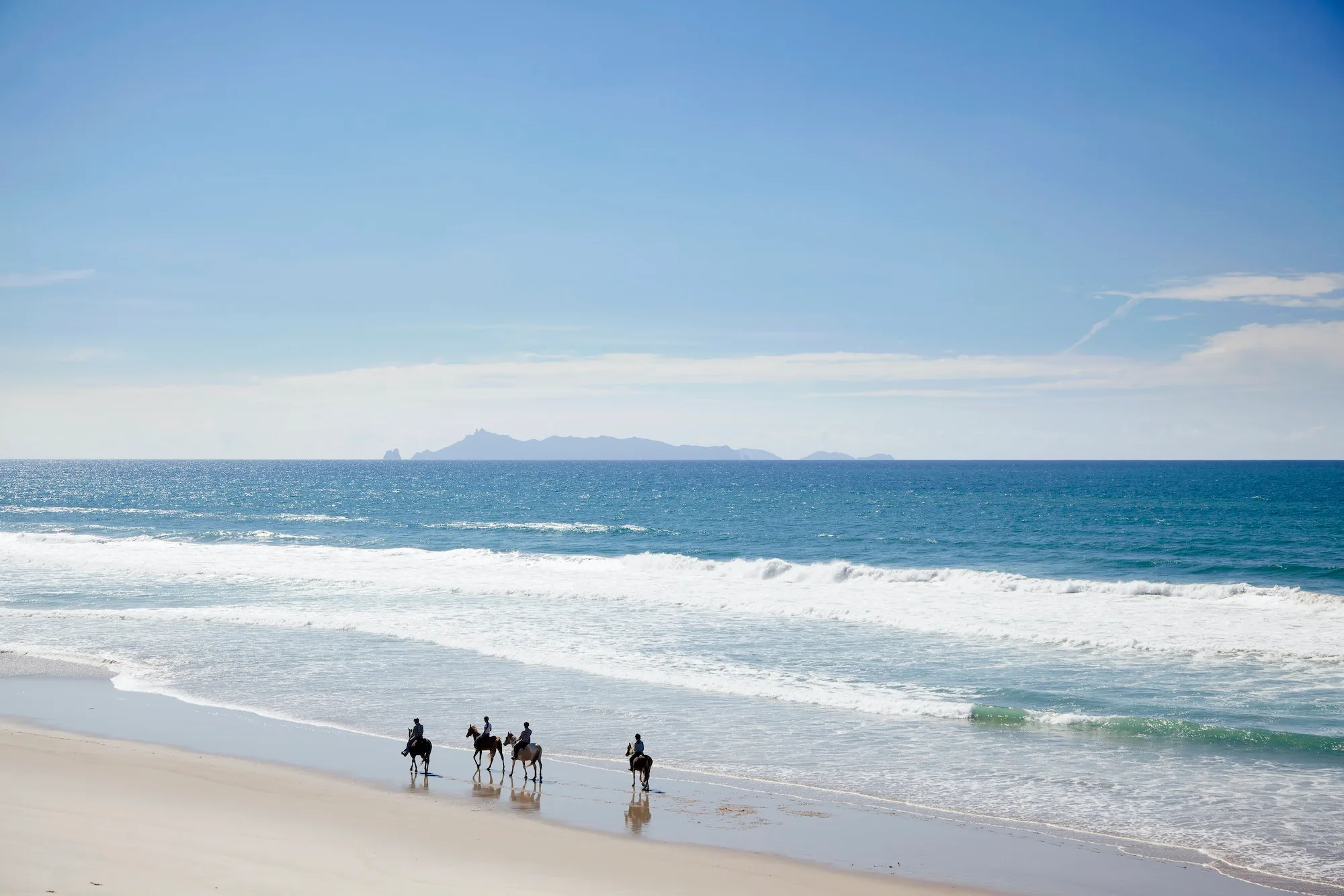 Horse riding, Pakiri Beach, Auckland, New Zealand