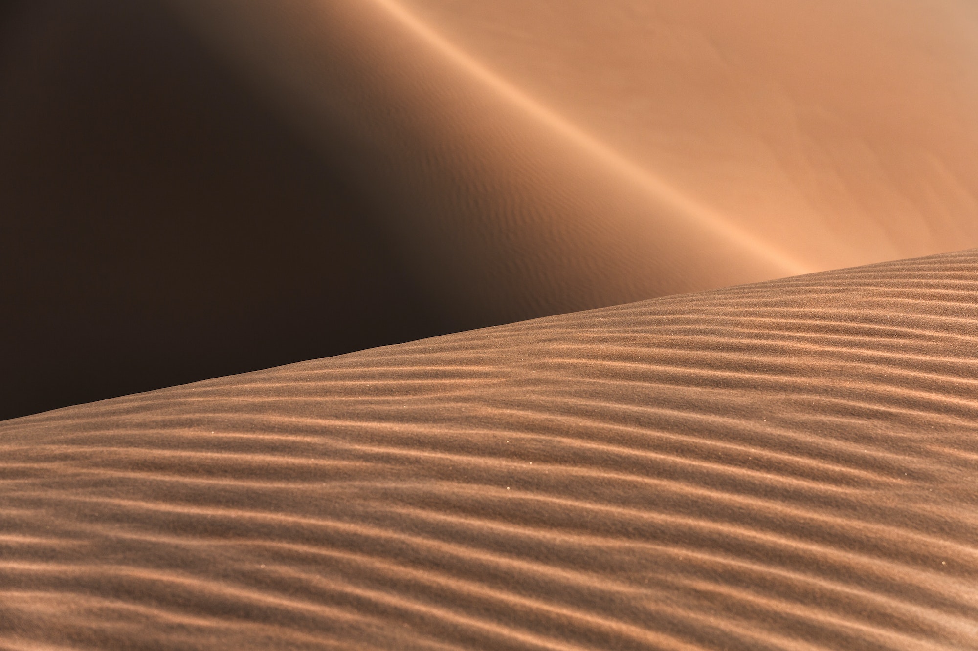 Liwa desert in Abu Dhabi