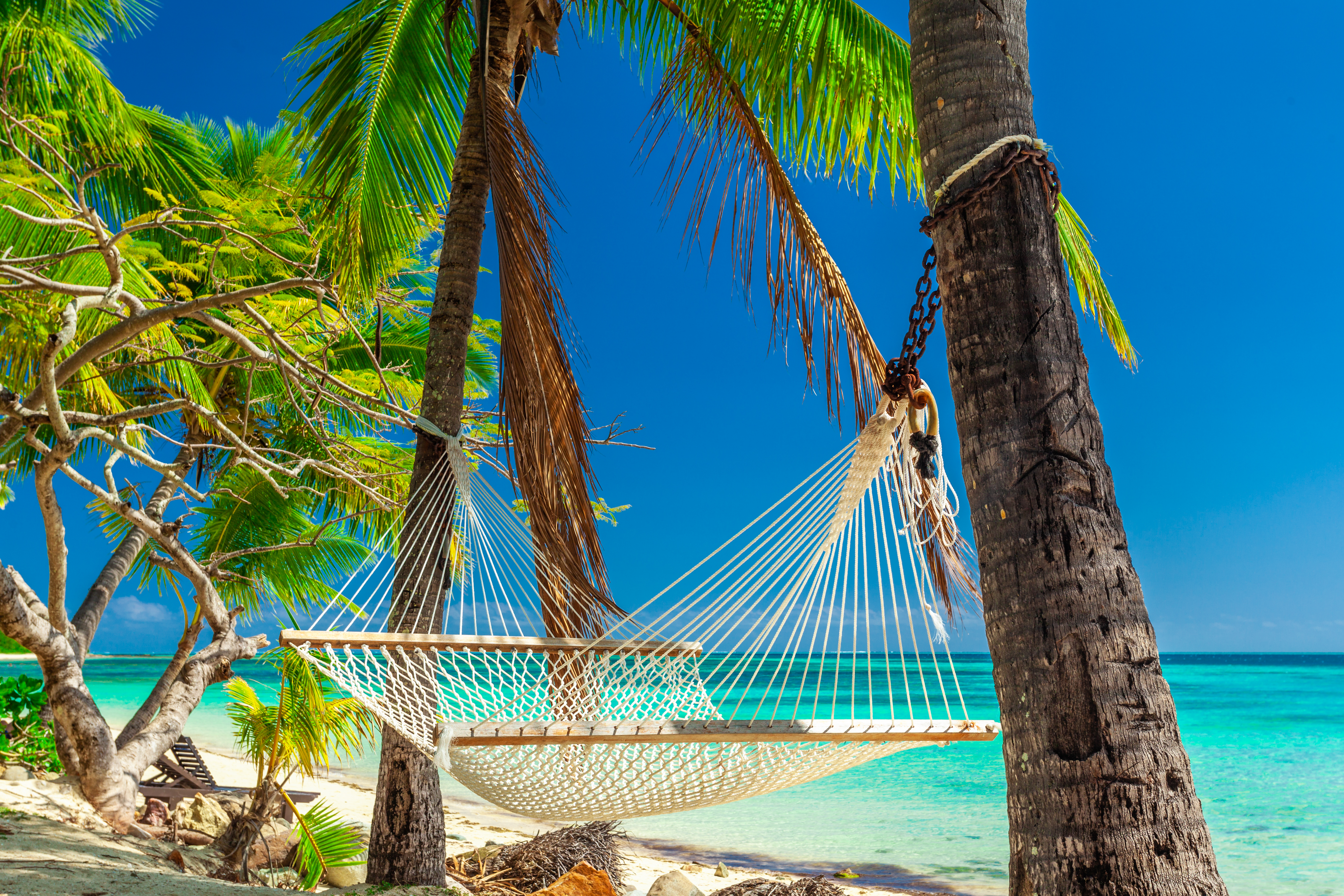 Empty hammock in the shade of palm trees, Fiji Islands